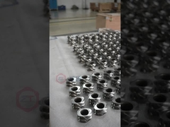 Co-rotating parallel twin-screw extruder screw elements delivery